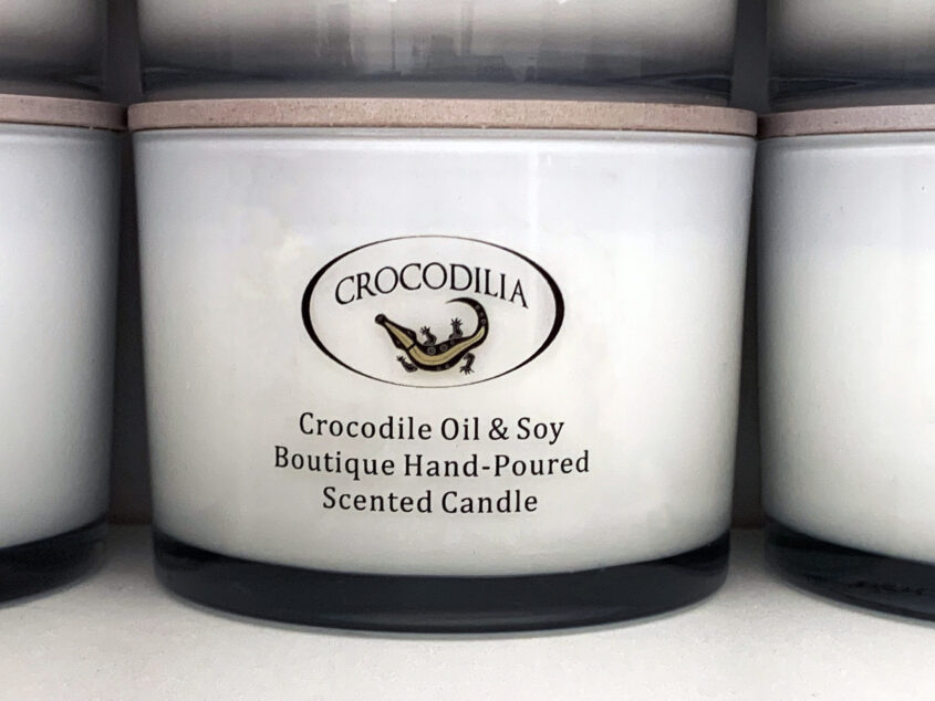 Crocodilia Single Jar